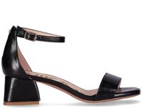 MELANIA 12 Negro Black