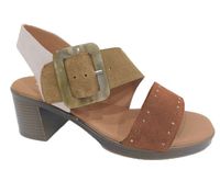 NEW GOTICA 12 Multi-Marron Brown