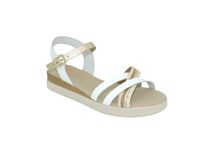 3278 COVA BLANCO ORO - copia